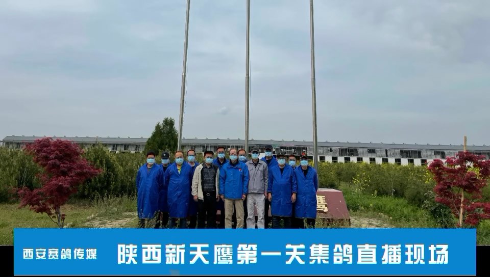 2022陕西新天鹰赛鸽春棚第一关全程现场视频直播激扬赛场·筑梦天鹰